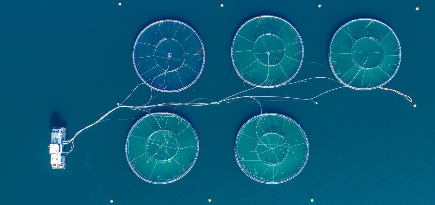 Blue Economy: Sustaining Our Oceans