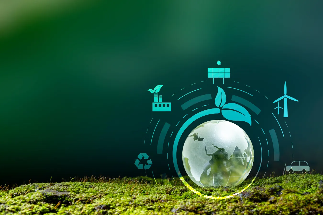 Digital Environmentalism—Real-Time Monitoring and the End of Information Asymmetry