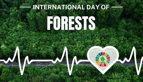 International Day of Forests: Tree plantation versus tree survival — The Accountability gap